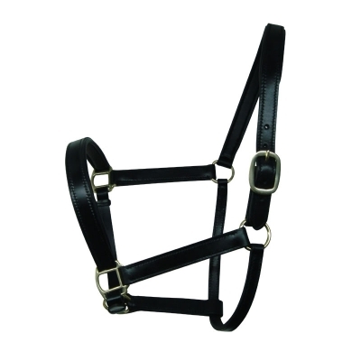 Halters & Reins 